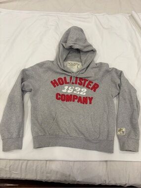 Vintage Hollister Gray Hooded Sweatshirt